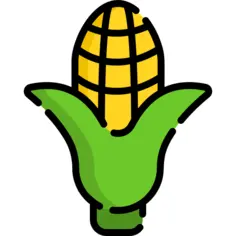 Corn