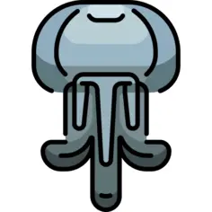 Jellyfish