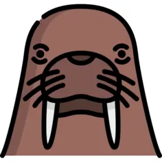 Walrus