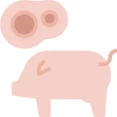 Pork