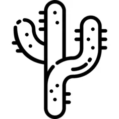 Cactus
