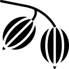 Gooseberry