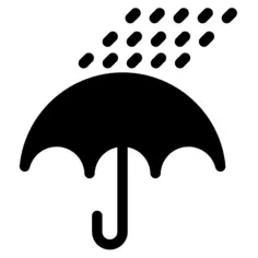 雨