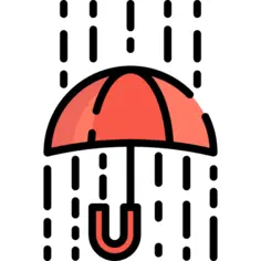 雨
