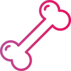 Bone