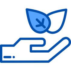 茶
