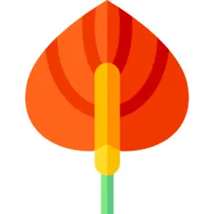Anthurium