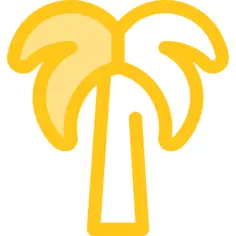 Palm tree