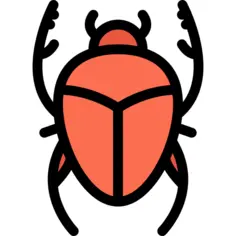 Beetle