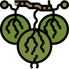 Gooseberry