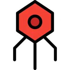 Virus