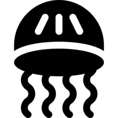 Jellyfish