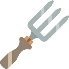 Fork