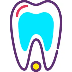 Tooth