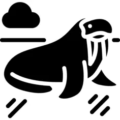 Walrus