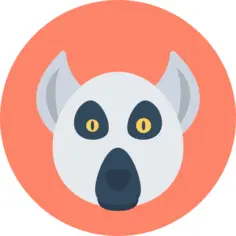 Lemur