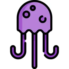 Jellyfish