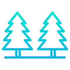 Pines