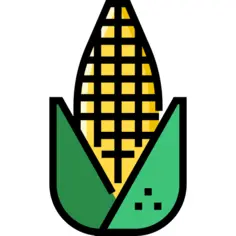 Corn