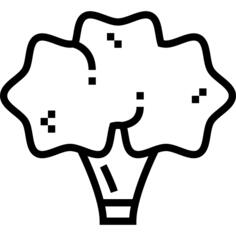 Cauliflower