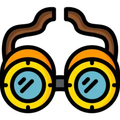 Goggles