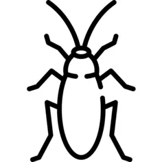 Cockroach