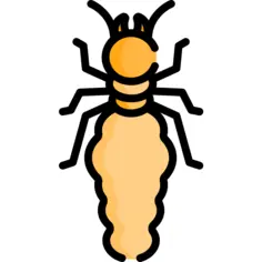 Termite