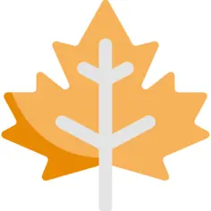 Maple leaf