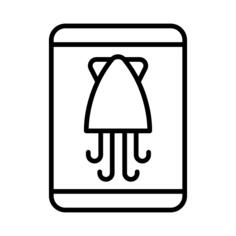 Squid