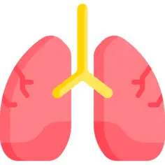 Lungs