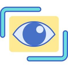 Vision