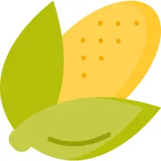 Corn