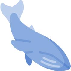 Blue whale