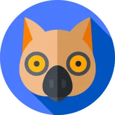 Lemur