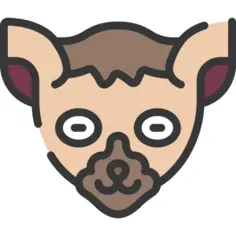Lemur