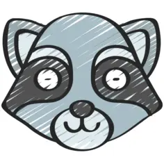 Racoon