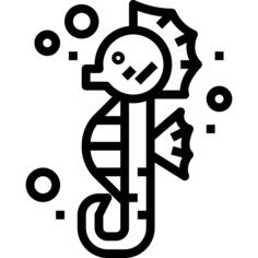 Seahorse