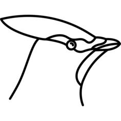 鸟