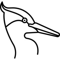 鸟