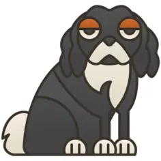 Cavalier king charles spaniel