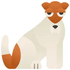 Fox terrier