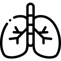 Lungs