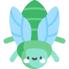 Cicada