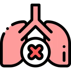 Lungs