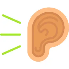 Ear