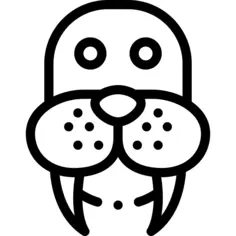 Walrus