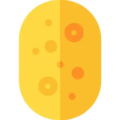 Sponge