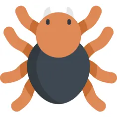 Tarantula