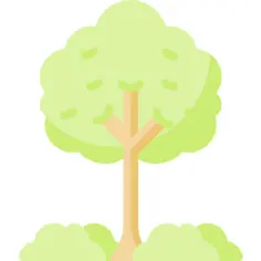 树