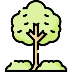 树